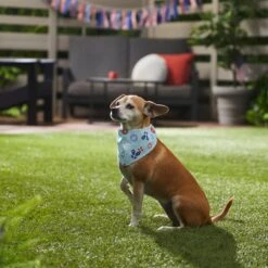 Disney Mickey Mouse Americana Nautical Dog & Cat Bandana -Pet Supplies Store 311830 PT8. AC SS1800 V1643330378