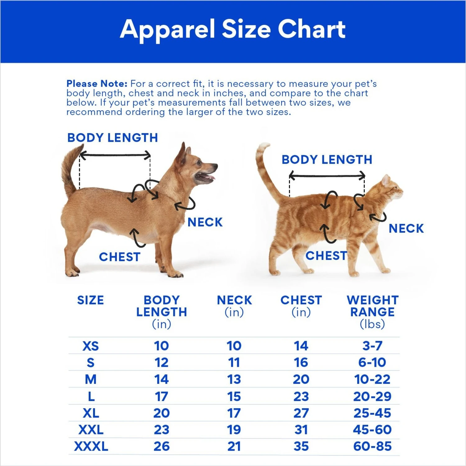 Disney Princesses "Be-YOU-tiful" Dog & Cat Dress 4 Disney Princesses "Be-YOU-tiful" Dog & Cat Dress - Image 2