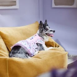 Disney Princesses "Be-YOU-tiful" Dog & Cat Dress 13 Disney Princesses "Be-YOU-tiful" Dog & Cat Dress -Pet Supplies Store 311833 PT8. AC SS1800 V1643323941