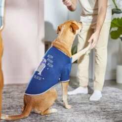 STAR WARS R2-D2 "Beep! Beep! Beep! Feed Me Treats!" Dog & Cat T-shirt -Pet Supplies Store 311865 PT8. AC SS1800 V1643322827