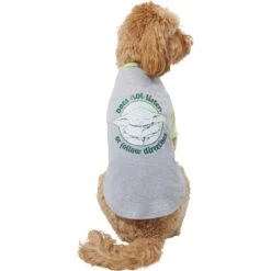 STAR WARS THE MANDALORIAN GROGU "Doesn't Listen" Dog & Cat Raglan T-shirt