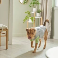 STAR WARS THE MANDALORIAN GROGU "Doesn't Listen" Dog & Cat Raglan T-shirt -Pet Supplies Store 311884 PT8. AC SS1800 V1643325840