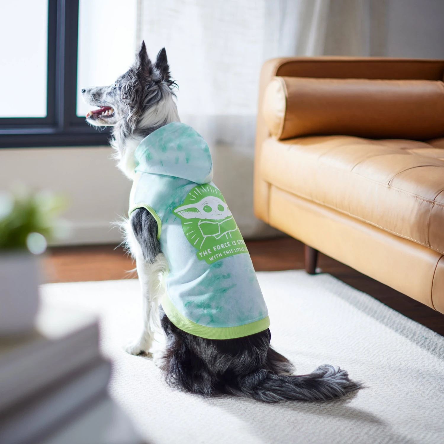 STAR WARS THE MANDALORIAN GROGU "The Force Is Strong" Tie Dye Dog & Cat Hoodie 9 STAR WARS THE MANDALORIAN GROGU "The Force Is Strong" Tie Dye Dog & Cat Hoodie - Image 7