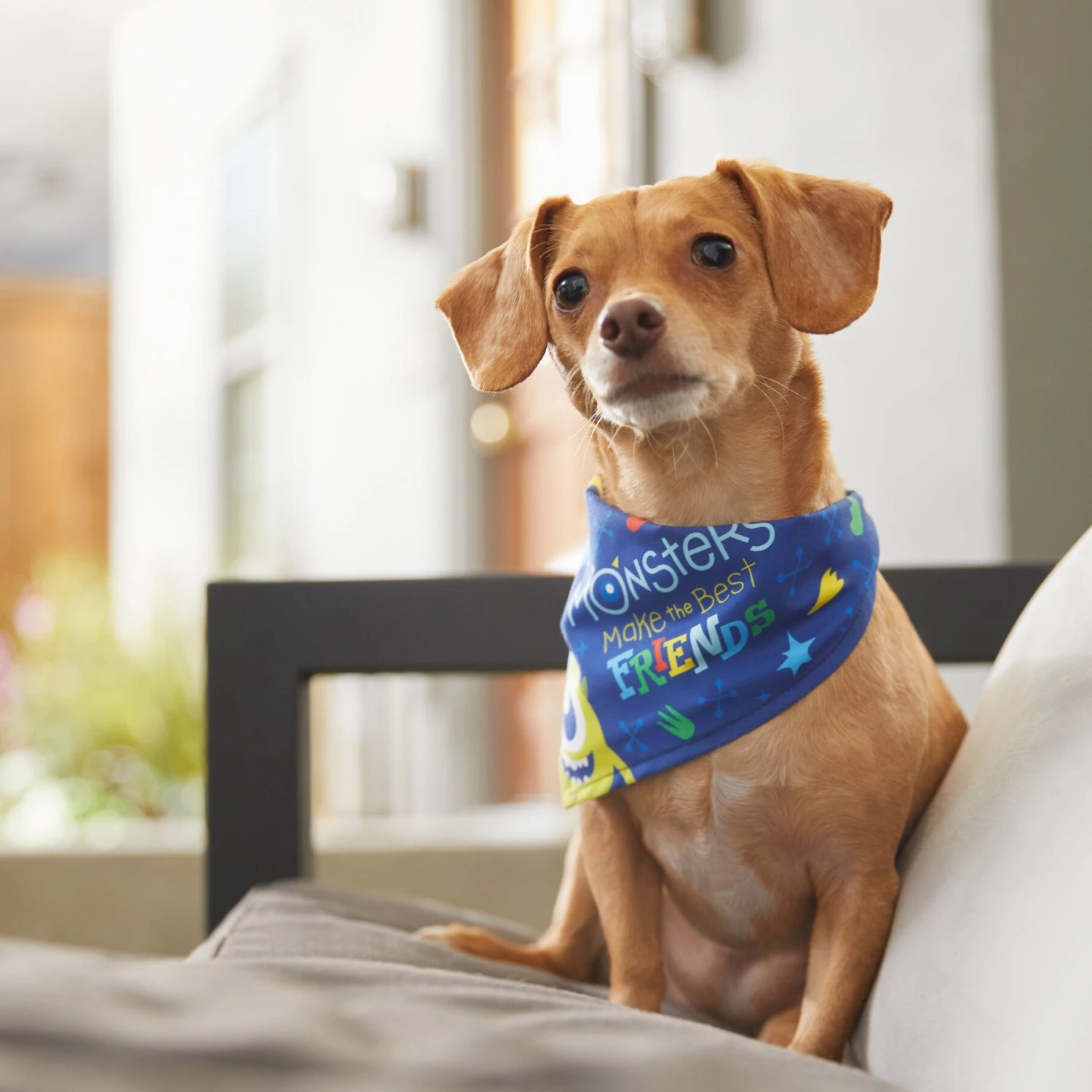 Pixar Monster's Inc "Monsters Make The Best Friends" Dog & Cat Bandana 9 Pixar Monster's Inc "Monsters Make The Best Friends" Dog & Cat Bandana - Image 7