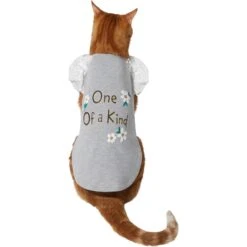 Frisco One Of A Kind Dog & Cat T-Shirt 11 Frisco One Of A Kind Dog & Cat T-Shirt -Pet Supplies Store 312080 PT2. AC SS1800 V1644424427
