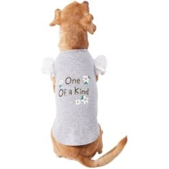 Frisco One Of A Kind Dog & Cat T-Shirt 12 Frisco One Of A Kind Dog & Cat T-Shirt -Pet Supplies Store 312080 PT3. AC SS1800 V1673303002