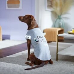 Frisco One Of A Kind Dog & Cat T-Shirt 14 Frisco One Of A Kind Dog & Cat T-Shirt -Pet Supplies Store 312080 PT5. AC SS1800 V1673304060