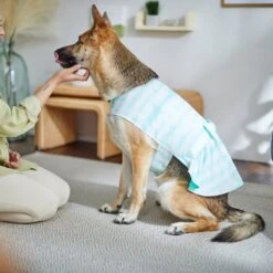 Frisco Green Tie Dye Dog & Cat Dress 13 Frisco Green Tie Dye Dog & Cat Dress -Pet Supplies Store 312104 PT8. AC SS1800 V1644424641