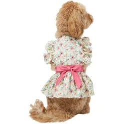 Frisco Dainty Pink Floral Dog & Cat Dress 11 Frisco Dainty Pink Floral Dog & Cat Dress -Pet Supplies Store 312136 PT2. AC SS1800 V1703872208