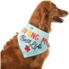 Frisco Living My Best Life Dog & Cat Bandana -Pet Supplies Store 312288 MAIN. AC SS1800 V1644881351