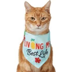 Frisco Living My Best Life Dog & Cat Bandana 11 Frisco Living My Best Life Dog & Cat Bandana -Pet Supplies Store 312288 PT2. AC SS1800 V1644884916