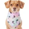 Frisco Palm Tree Dog & Cat Bandana 2 Frisco Palm Tree Dog & Cat Bandana -Pet Supplies Store 312291 MAIN. AC SS1800 V1644885149