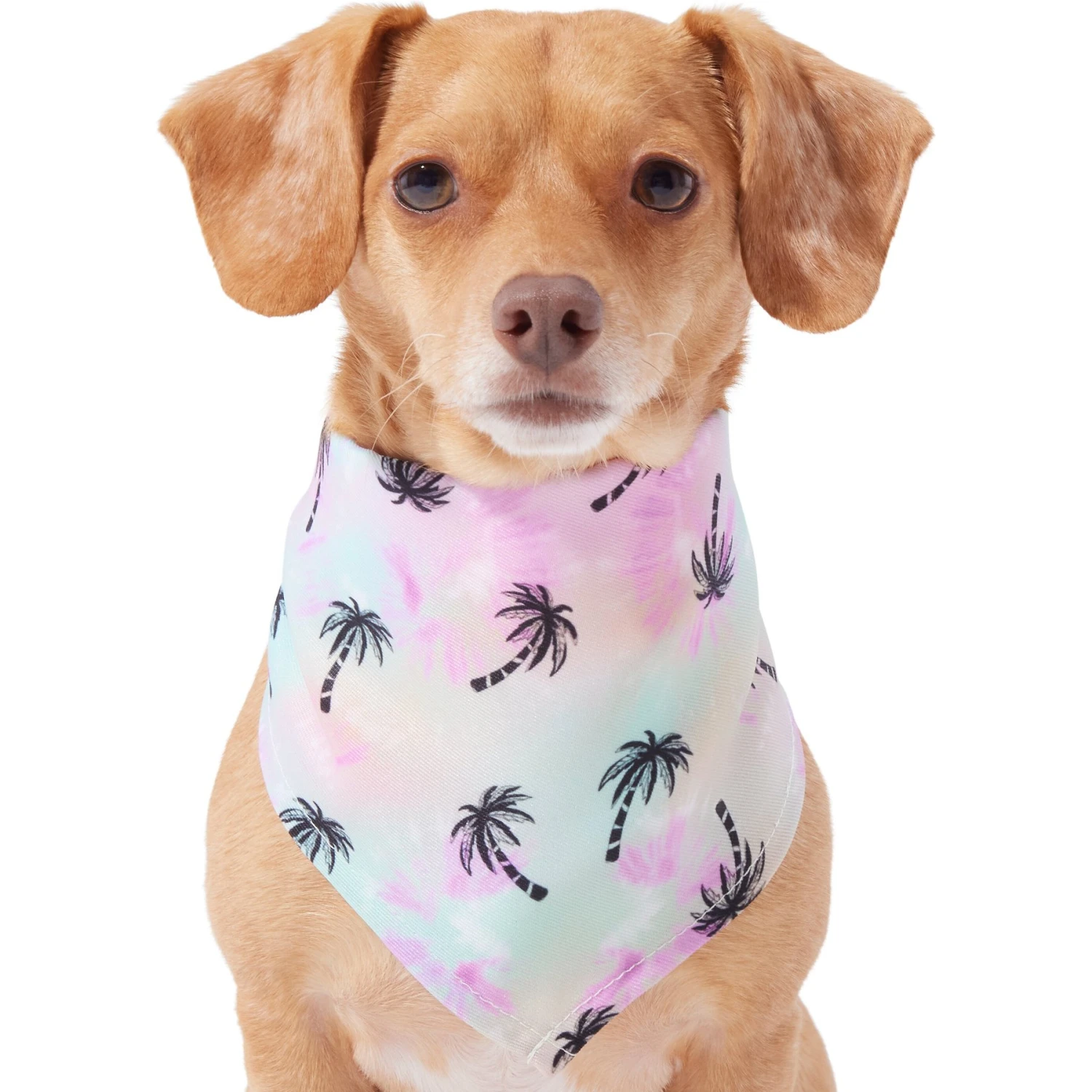 Frisco Palm Tree Dog & Cat Bandana 3 Frisco Palm Tree Dog & Cat Bandana