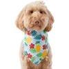 Frisco Hawaiian Pineapple Dog & Cat Bandana 1 Frisco Hawaiian Pineapple Dog & Cat Bandana -Pet Supplies Store 312300 MAIN. AC SS1800 V1644885441