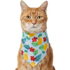 Frisco Hawaiian Pineapple Dog & Cat Bandana 11 Frisco Hawaiian Pineapple Dog & Cat Bandana -Pet Supplies Store 312300 PT2. AC SS1800 V1644878643