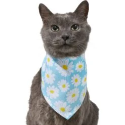 Frisco Daisy Dog & Cat Bandana 12 Frisco Daisy Dog & Cat Bandana -Pet Supplies Store 312303 PT2. AC SS1800 V1644883588