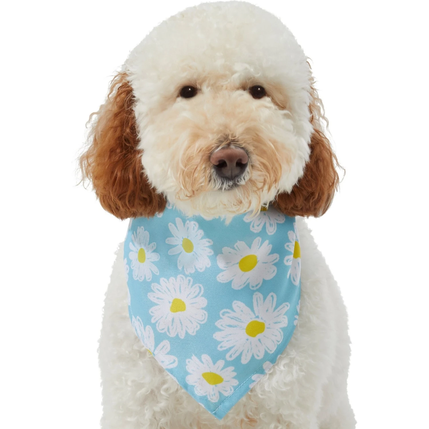 Frisco Daisy Dog & Cat Bandana 6 Frisco Daisy Dog & Cat Bandana - Image 4