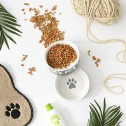 Bone Dry Meow Set Cat Bowl -Pet Supplies Store 313413 PT6. AC SS1800 V1631764117