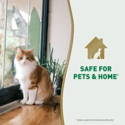 Nature's Miracle Cat Urine Destroyer Plus Enzymatic Formula Stain Remover Refill, 1-gal Bottle -Pet Supplies Store 313855 PT5. AC SS1800 V1701116480