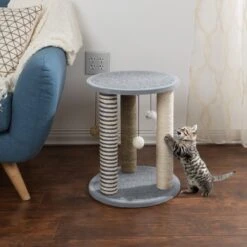 Pet Adobe 19.25-in Polyester Cat Scratching Post With Toys 12 Pet Adobe 19.25-in Polyester Cat Scratching Post With Toys -Pet Supplies Store 314975 PT3. AC SS1800 V1626390432