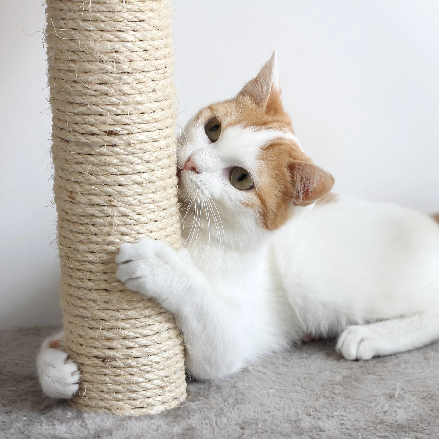 Pet Adobe 19.25-in Polyester Cat Scratching Post With Toys 7 Pet Adobe 19.25-in Polyester Cat Scratching Post With Toys - Image 5