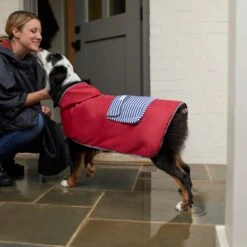 Frisco Lightweight Red Reversible Packable Dog Raincoat 17 Frisco Lightweight Red Reversible Packable Dog Raincoat -Pet Supplies Store 315109 PT8. AC SS1800 V1646437779