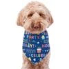 Frisco Celebration Dog & Cat Bandana 1 Frisco Celebration Dog & Cat Bandana -Pet Supplies Store 315133 MAIN. AC SS1800 V1646438946