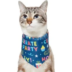 Frisco Celebration Dog & Cat Bandana 11 Frisco Celebration Dog & Cat Bandana -Pet Supplies Store 315133 PT2. AC SS1800 V1646439780