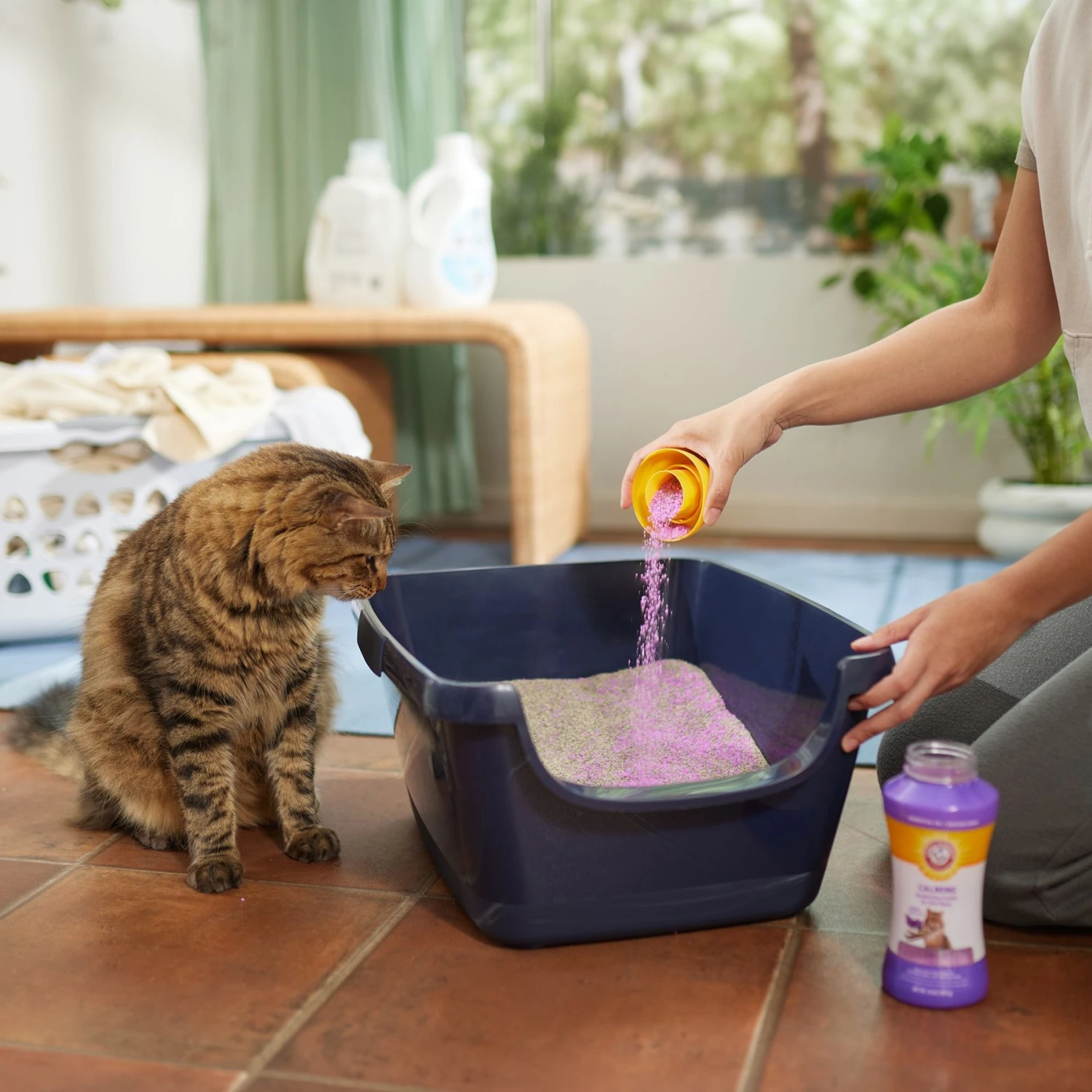 ARM & HAMMER PRODUCTS Calming Lavender & Vanilla Scent Cat Litter Box Deodorizing Crystals 7 ARM & HAMMER PRODUCTS Calming Lavender & Vanilla Scent Cat Litter Box Deodorizing Crystals - Image 5