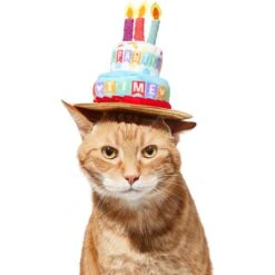 Disney Mickey Mouse Birthday Dog & Cat Hat -Pet Supplies Store 316077 PT3. AC SS1800 V1646181348