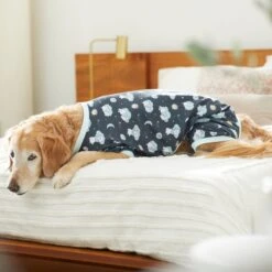 Disney Winnie The Pooh Nite Time Dog & Cat Pajama -Pet Supplies Store 316098 PT8. AC SS1800 V1646177678