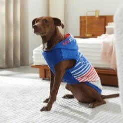 STAR WARS MAY THE 4TH Dog & Cat Hoodie 15 STAR WARS MAY THE 4TH Dog & Cat Hoodie -Pet Supplies Store 316112 PT8. AC SS1800 V1646176600