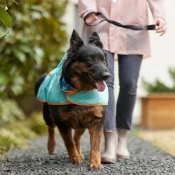 Pixar Finding Nemo Lightweight "Make A Splash" Dog & Cat Packable Raincoat 17 Pixar Finding Nemo Lightweight "Make A Splash" Dog & Cat Packable Raincoat -Pet Supplies Store 316506 PT8. AC SS1800 V1646180597