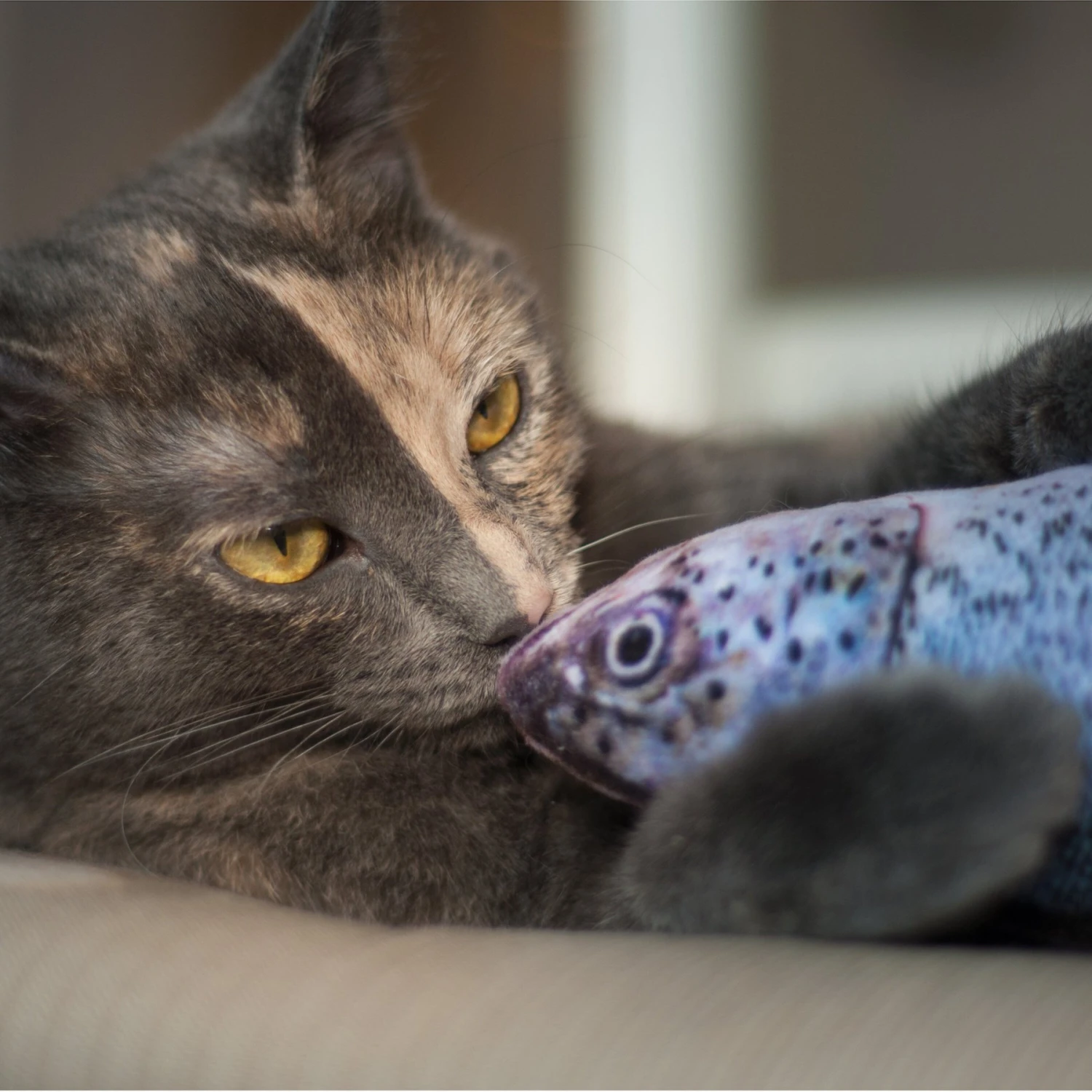 Pet Fit For Life Robotic Floppy Fish & Wand Cat Toy 10 Pet Fit For Life Robotic Floppy Fish & Wand Cat Toy - Image 8