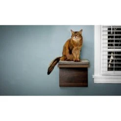 Litterbox.com Cat Shelf, 2 Count 9 Litterbox.com Cat Shelf, 2 Count -Pet Supplies Store 316910 PT2. AC SS1800 V1634088719