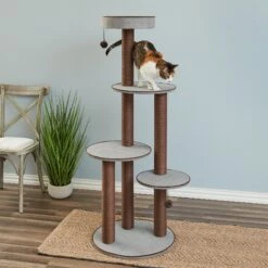 Two By Two The Pine 59-in Cat Tree, Gray 14 Two By Two The Pine 59-in Cat Tree, Gray -Pet Supplies Store 316948 PT4. AC SS1800 V1642647456