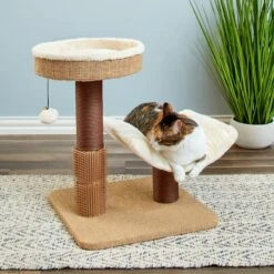 Two By Two The Yaupon 21.5-in Cat Tree & Lounger, Beige -Pet Supplies Store 316950 PT3. AC SS1800 V1642649525