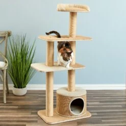 Two By Two The Cottonwood 51-in Cat Tree & Condo, Beige 14 Two By Two The Cottonwood 51-in Cat Tree & Condo, Beige -Pet Supplies Store 316954 PT4. AC SS1800 V1642644729