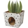 Frisco Potted Succulent Cardboard Cat House 1 Frisco Potted Succulent Cardboard Cat House -Pet Supplies Store 317723 MAIN. AC SS1800 V1688677259