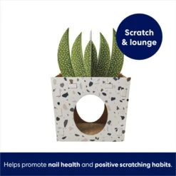 Frisco Potted Succulent Cardboard Cat House 10 Frisco Potted Succulent Cardboard Cat House -Pet Supplies Store 317723 PT2. AC SS1800 V1689342085