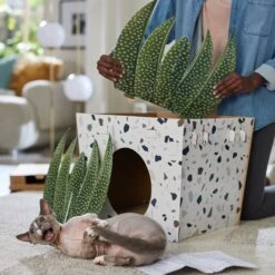 Frisco Potted Succulent Cardboard Cat House 11 Frisco Potted Succulent Cardboard Cat House -Pet Supplies Store 317723 PT3. AC SS1800 V1688677248