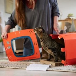 Frisco TV Set Cardboard Cat House 11 Frisco TV Set Cardboard Cat House -Pet Supplies Store 317731 PT3. AC SS1800 V1688677262