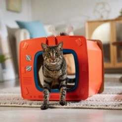 Frisco TV Set Cardboard Cat House 12 Frisco TV Set Cardboard Cat House -Pet Supplies Store 317731 PT4. AC SS1800 V1688677247