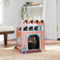 Frisco Southwestern House Cardboard Cat House 9 Frisco Southwestern House Cardboard Cat House -Pet Supplies Store 317739 PT3. AC SS1800 V1642099125
