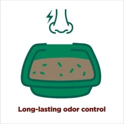 Arm & Hammer Litter Forever Fresh Cedarwood Clumping Cat Litter 13 Arm & Hammer Litter Forever Fresh Cedarwood Clumping Cat Litter -Pet Supplies Store 325462 PT2. AC SS1800 V1663798196