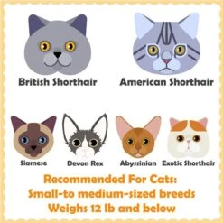 Yaheetech 63.5-in Plush Cat Tree & Condo 13 Yaheetech 63.5-in Plush Cat Tree & Condo -Pet Supplies Store 325702 PT2. AC SS1800 V1686153350