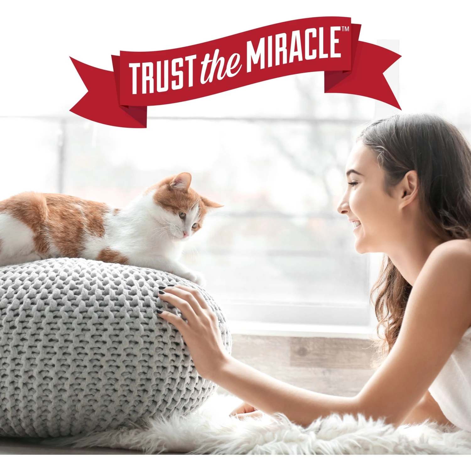 Nature's Miracle Advanced Cat Enzymatic Stain Remover & Odor Eliminator Refill, Sunny Lemon, 128-oz Bottle 11 Nature's Miracle Advanced Cat Enzymatic Stain Remover & Odor Eliminator Refill, Sunny Lemon, 128-oz Bottle - Image 9