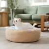 Frisco Cat Donut Bed 1 Frisco Cat Donut Bed -Pet Supplies Store 333854 MAIN. AC SS1800 V1658716873
