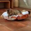 Frisco Calico Cat Design Adjustable Cat Bolster Bed 1 Frisco Calico Cat Design Adjustable Cat Bolster Bed -Pet Supplies Store 333860 MAIN. AC SS1800 V1658718002
