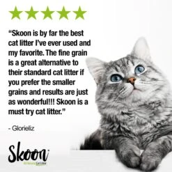 Skoon All Natural Fine-Grain Unscented Non-Clumping Cat Litter -Pet Supplies Store 333931 PT6. AC SS1800 V1633464812